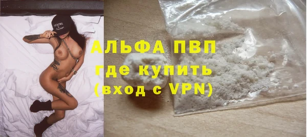 стафф Белокуриха