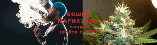индика Богородск