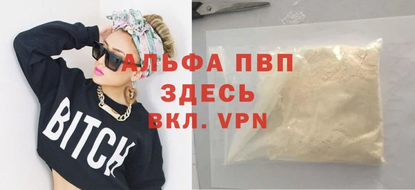 индика Богородск