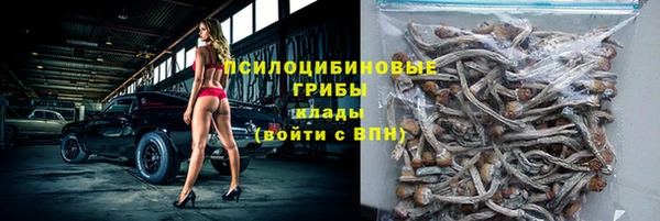 дурь Зеленокумск